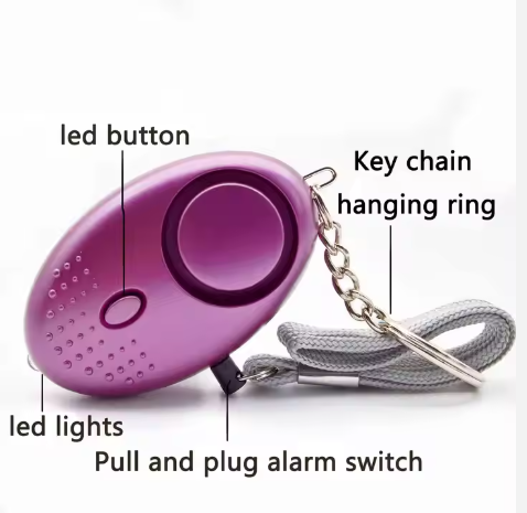 Oval Security Alarm Keychain